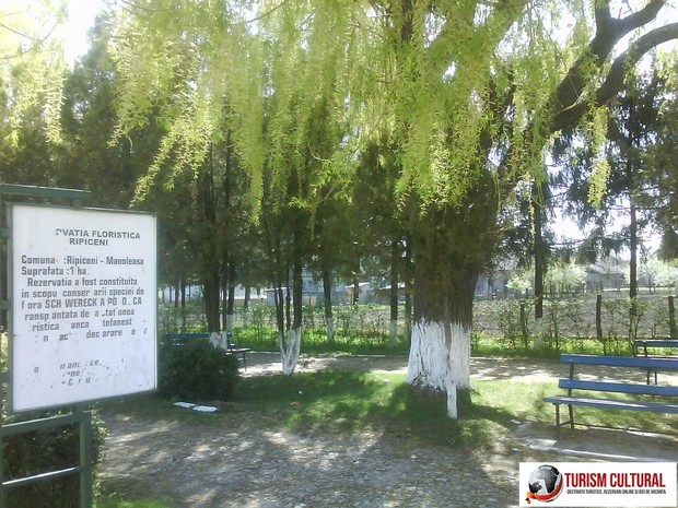 Comuna Ripiceni judetul Botosani, parcul din fata primariei.